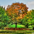 Stuck In The Middle Of Autumn