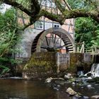 Stuckenborstler Wassermühle