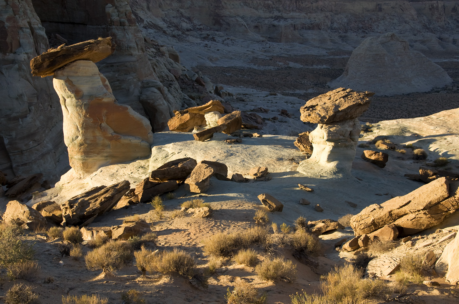 Stud Horse Point