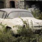 Studebaker Champion 1953