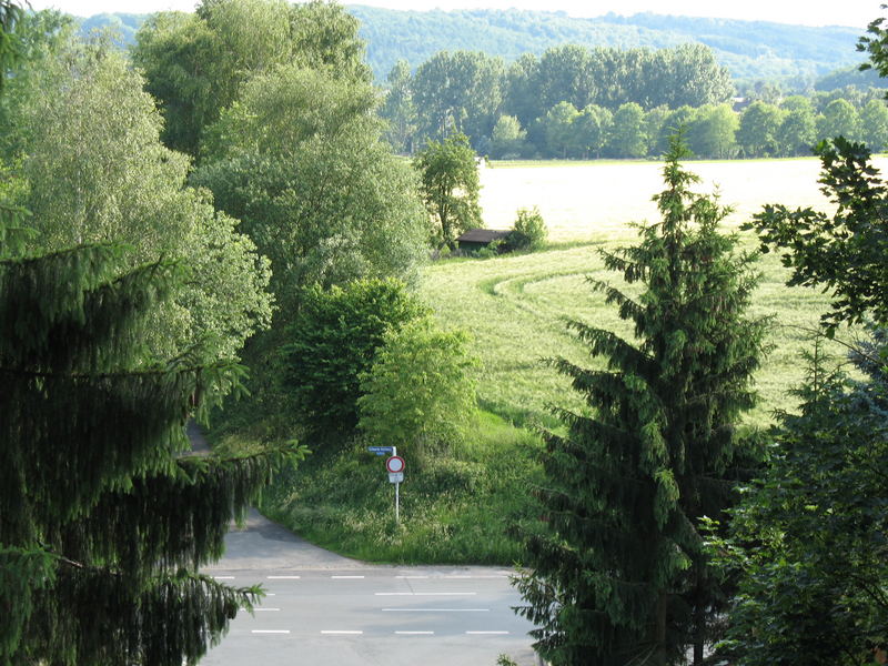 Studentenbude - Blick in die Natur