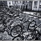 Students Bike Parade