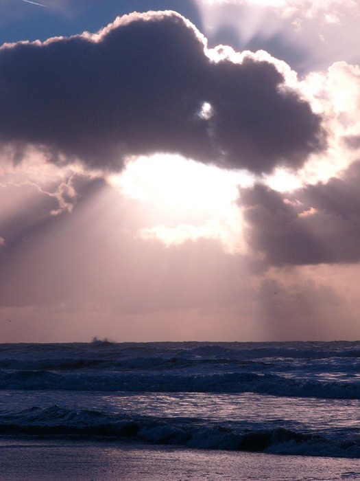 Studie Egmond aan Zee