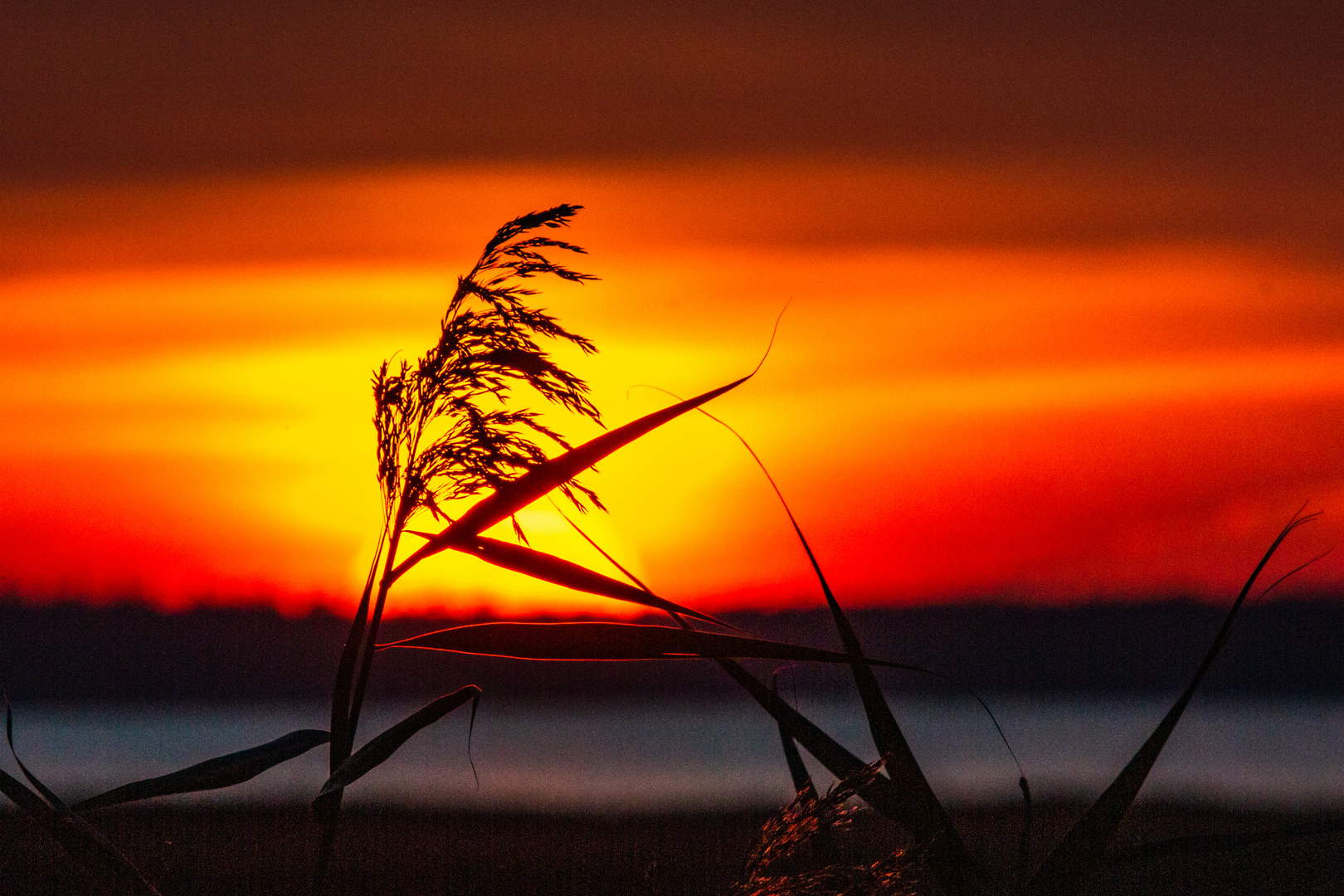 Studie mit Sonnenuntergang