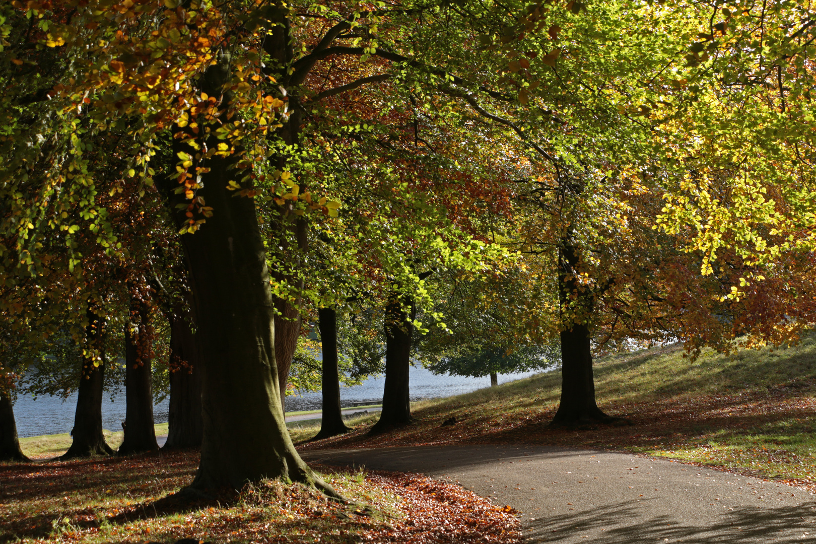 studley royal deer park 2