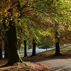 studley royal deer park 2