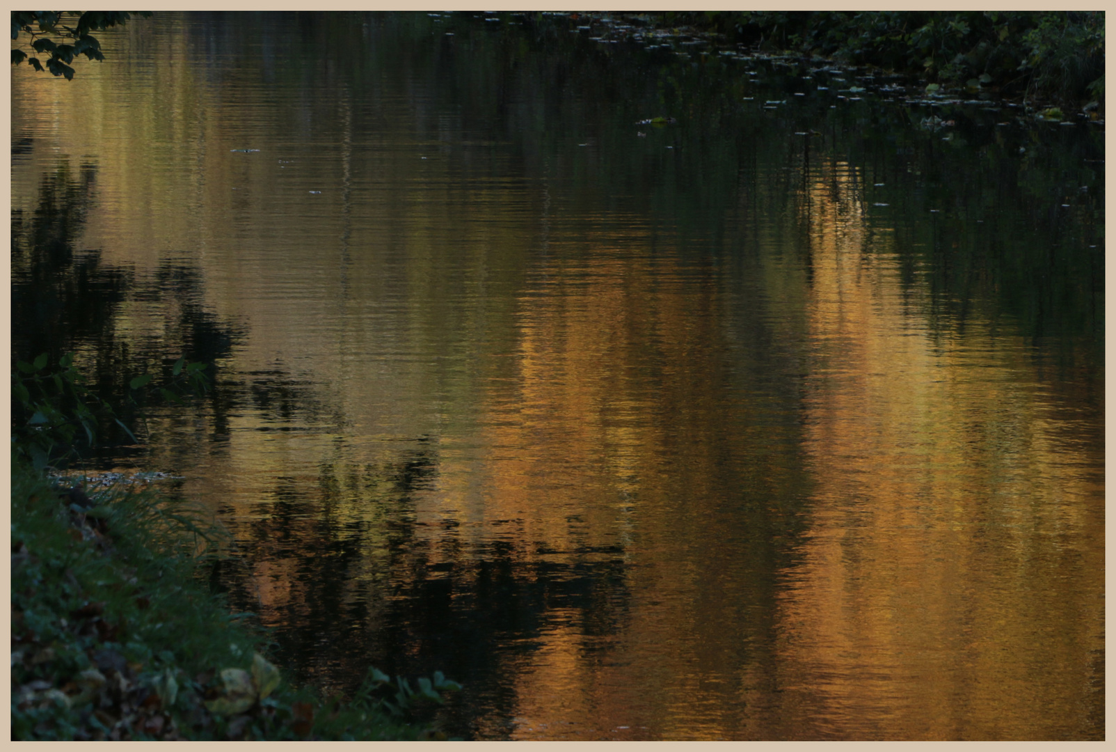 studley royal in low light 9