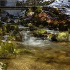 Stübenbach (Todtnauer Wasserfall)