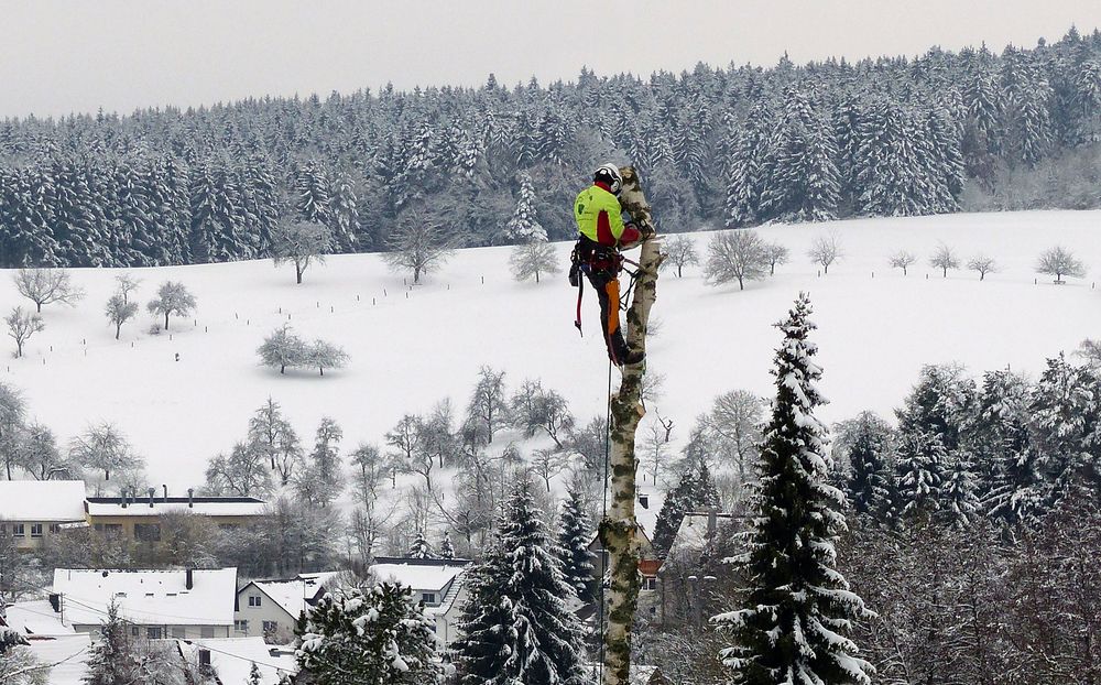 Stück für Stück.... 