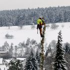 Stück für Stück.... 