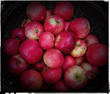 STÜCK FÜR STÜCK....