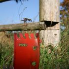 Stück Metal im Gras