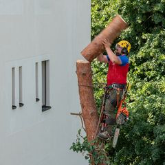 stückweise 1/2