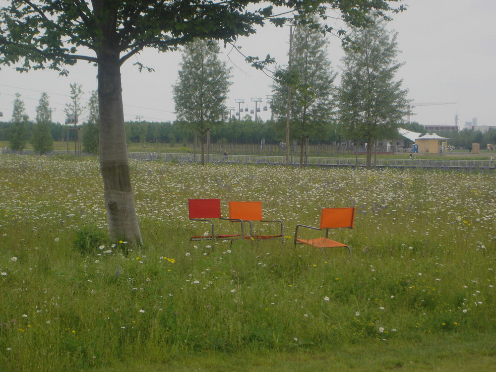 Stühle in Blumenwiese