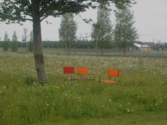 Stühle in Blumenwiese