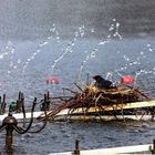 Stündliche Dusche garantiert