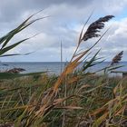 Stürmiger Wind...