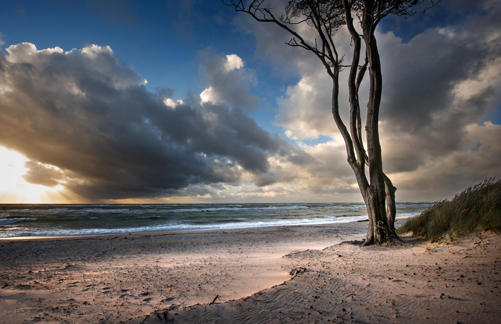 stürmisch Foto &amp; Bild deutschland, europe, mecklenburg vorpommern