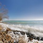 stürmisch am Bodensee