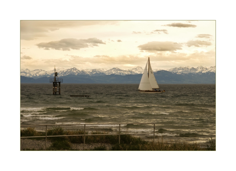 Stürmisch am Bodensee II