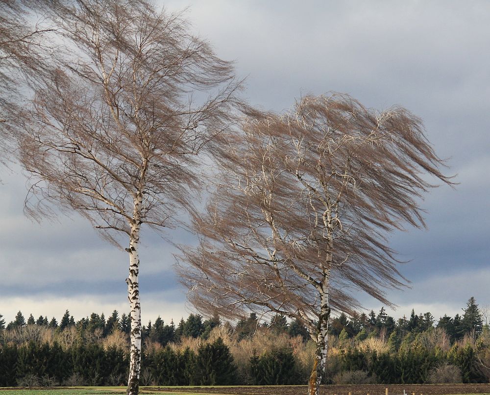 Stürmisch Foto & Bild wetter, landschaft, sturm Bilder auf