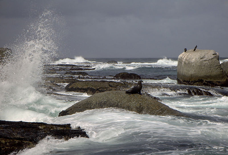 ...stürmisch stürmisch auf Robben Island...
