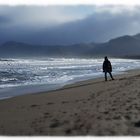 Stürmische Begegnung am Strand