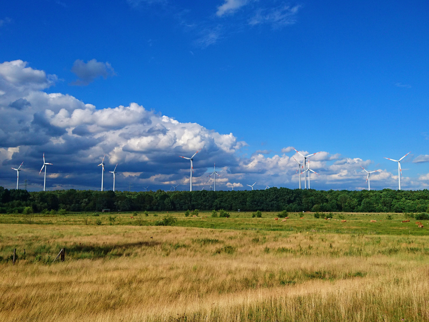 stürmische Energiewende...