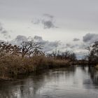 Stürmische Natur