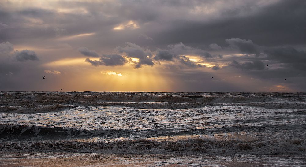 stürmische Nordsee