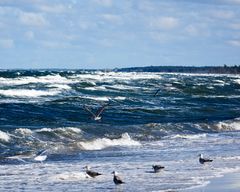 Stürmische Ostsee