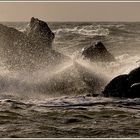 stürmische Ostsee ... (Fischland /Darß)