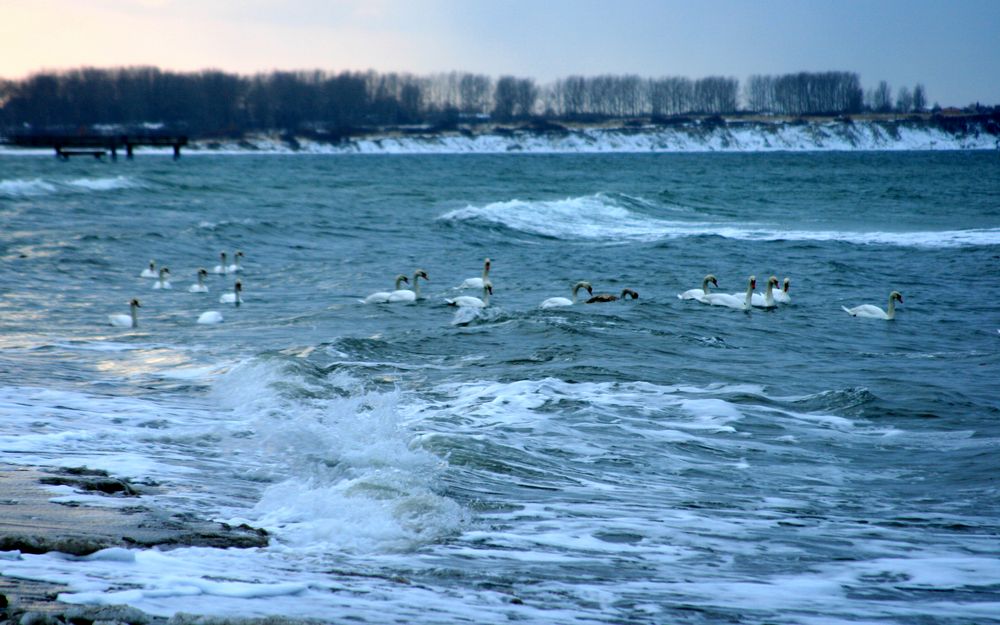 stürmische See