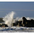 Stürmische See bei Hörnum-Sylt