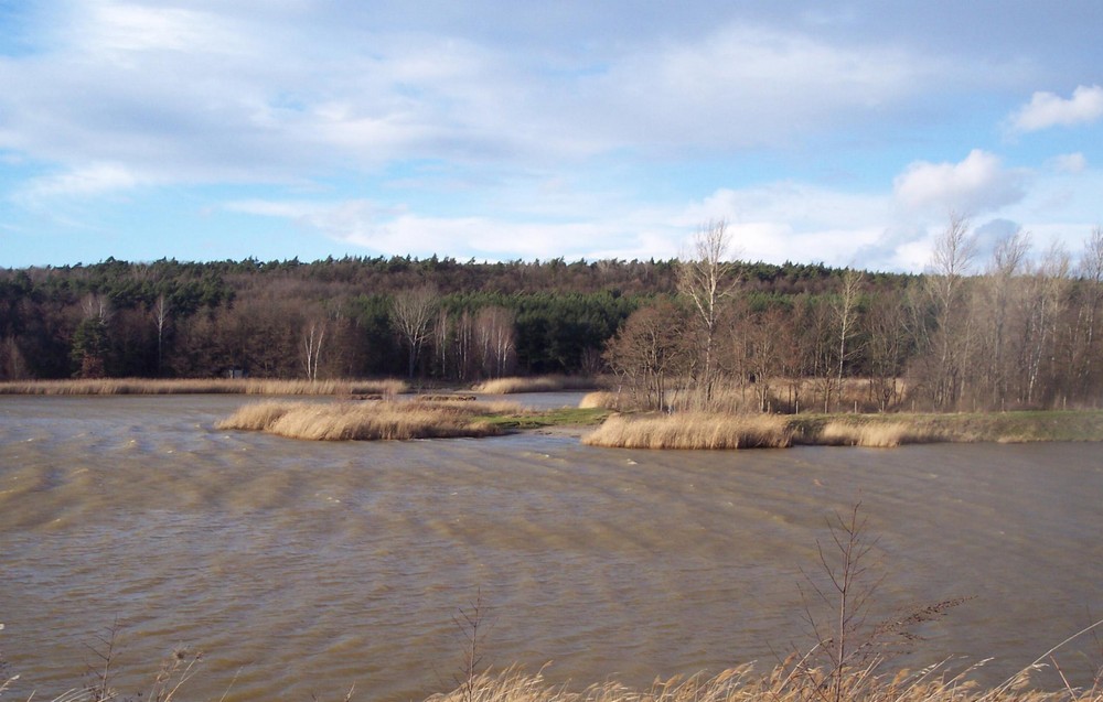 Stürmische See