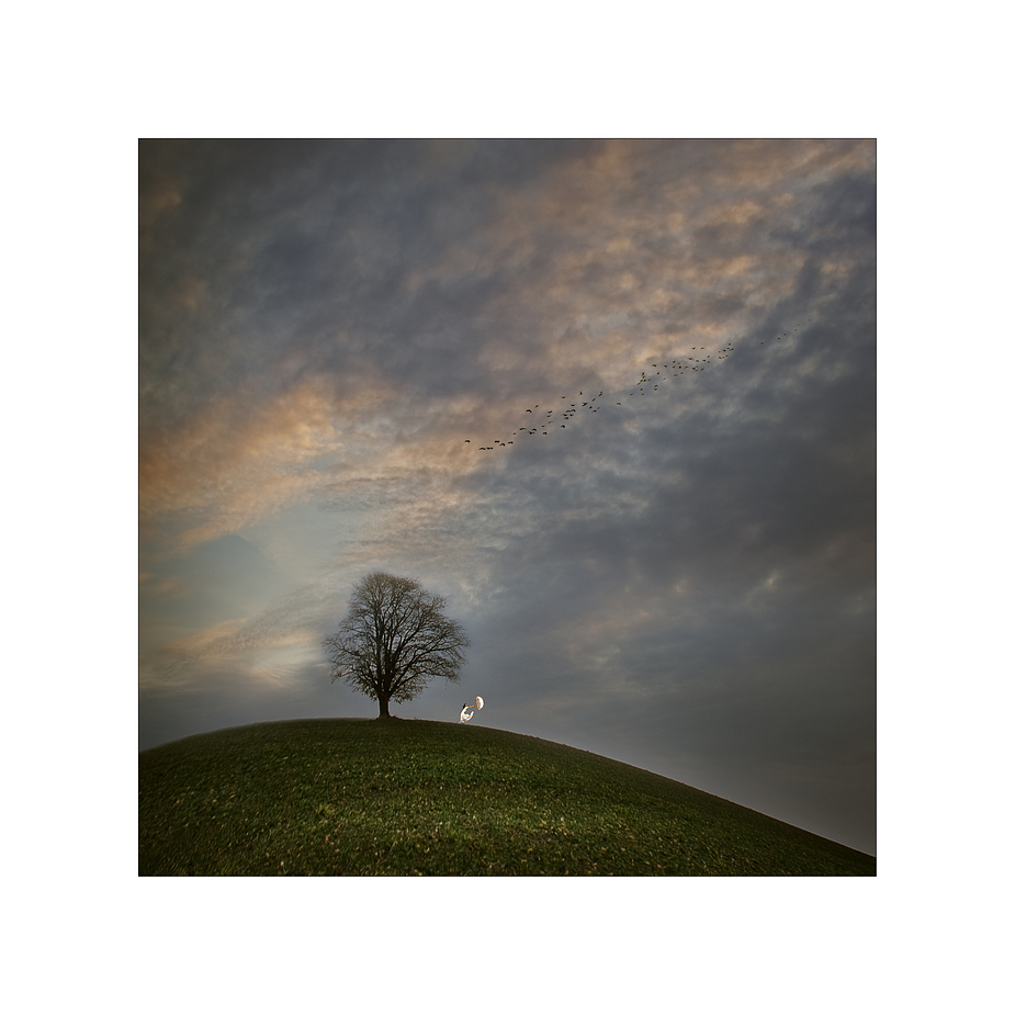 Stürmische Zeiten Foto & Bild fotomontage, fantasy mystery, digiart