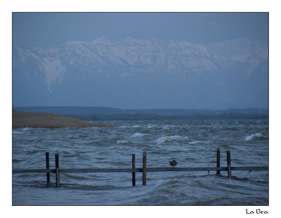 Stürmischer Ammersee mit Alpen