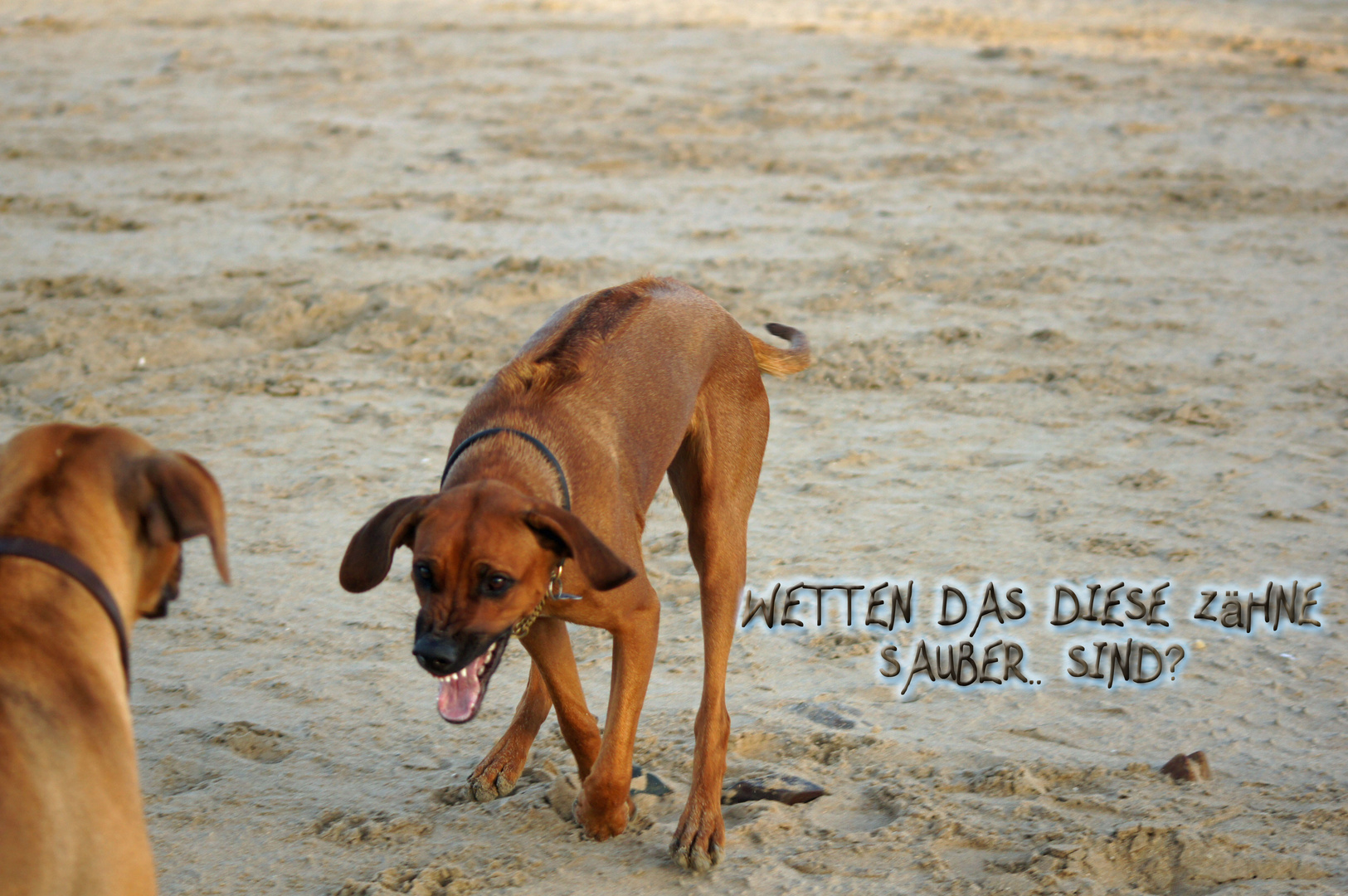 stürmischer Angriff....