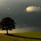 Stürmischer Himmel I