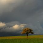 Stürmischer Himmel II