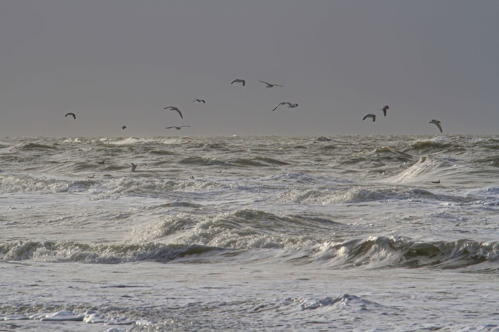 stürmischer Nordsee-Nachmittag