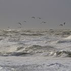 stürmischer Nordsee-Nachmittag