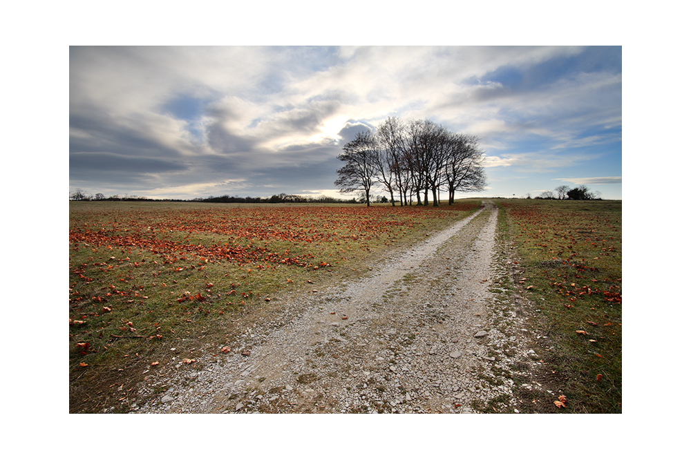 Stürmischer Novembertag