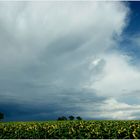 Stürmischer Sommer