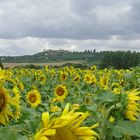 Stürmischer Sommertag