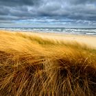 Stürmischer Strand