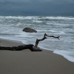 Stürmischer Tag an der Ostsee II