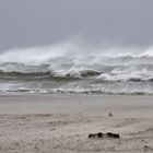 Stürmischer Tag im Mai auf Amrum