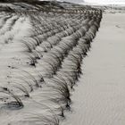 Stürmisches Sylt