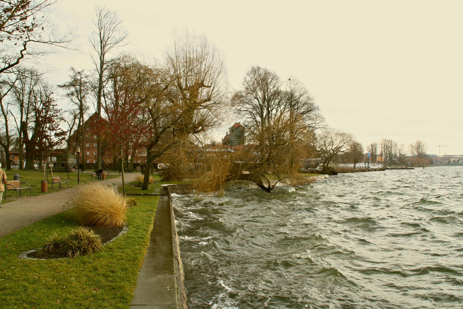 Stürmisches Wetter an der Müritz